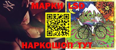 прущие грибы Будённовск