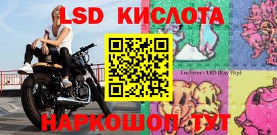 прущие грибы Будённовск