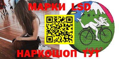 прущие грибы Будённовск