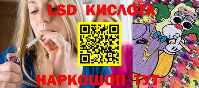 прущие грибы Будённовск