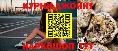 прущие грибы Будённовск