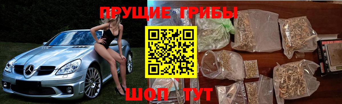 Солнечногорск  Галлюциногенные грибы Psilocybe  Вход с VPN  Галлюциногенные грибы Psilocybe 