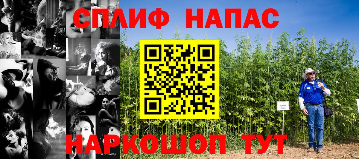 Конопля сатива  Канабис AK-47  Каннабис VHQ  Вход с VPN  Солнечногорск  Бошки Шишки SATIVA & INDICA 